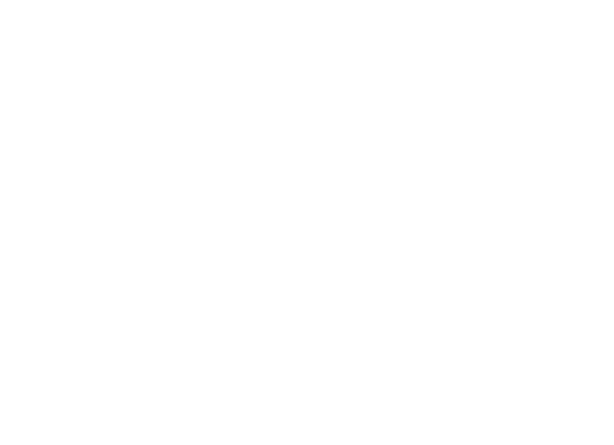 Priscila Gomes Nutricionista
